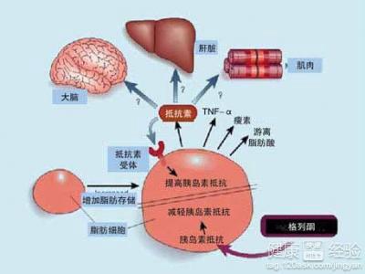 非金属矿物材料在日常生活中的应用