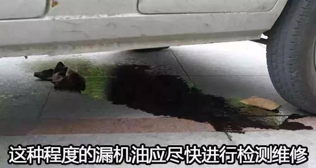 转向助力滤网