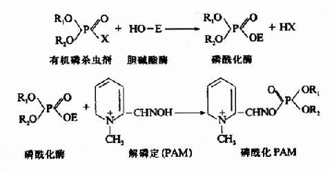 酶在饮料中的应用，促进生产与品质提升的关键要素